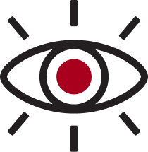 vision
